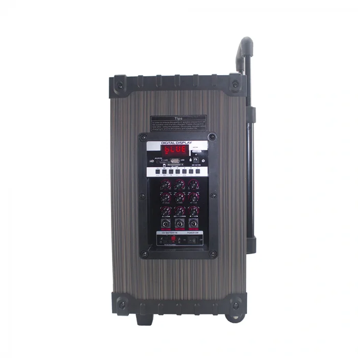 LT-910 Dijital LED Göstergeli FM Radyolu Mikrofonlu Gitar Girişli TWS 10 inç Stereo Bass Kablosuz Karaoke Hoparlör