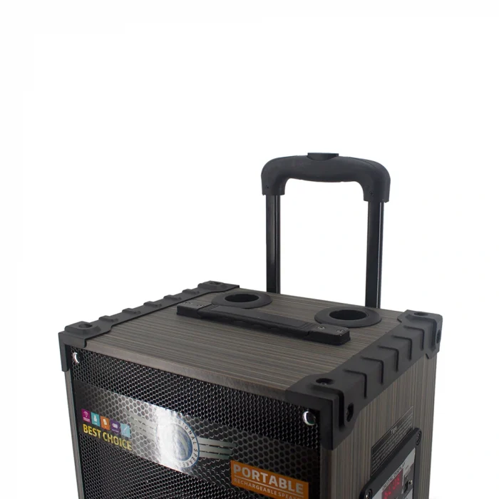 LT-912 Dijital LED Göstergeli FM Radyolu Mikrofonlu Gitar Girişli TWS 12 inç Stereo Bass Kablosuz Karaoke Hoparlör