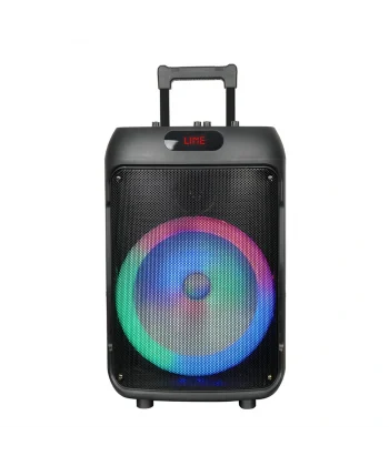 GD-1203 Dijital LED Göstergeli FM Radyolu Mikrofonlu RGB TWS 12 inç Stereo Bass Kablosuz Karaoke Hoparlör