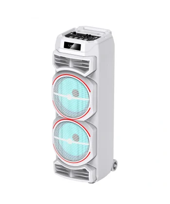 GD-2828 Dijital LED Göstergeli Mikrofonlu RGB TWS Çift 8 inç Stereo Bass Kablosuz Karaoke Hoparlör