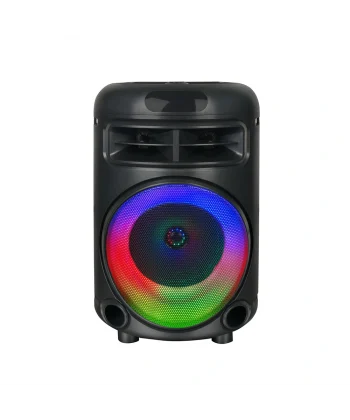 GD-692 FM Radyolu Mikrofonlu RGB TWS 6.5 inç Stereo Bass Kablosuz Karaoke Hoparlör