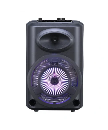 GD-903 Dijital LED Göstergeli FM Radyolu Mikrofonlu RGB TWS 8 inç Stereo Bass Kablosuz Karaoke Hoparlör