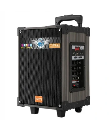 LT-908 Dijital LED Göstergeli FM Radyolu Mikrofonlu TWS 8 inç Stereo Bass Kablosuz Karaoke Hoparlör
