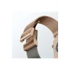 Watch 10 46mm Amazingthing Omni StyleFlip Metal Hasır Kordon Rose Gold