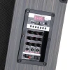 LT-910 Dijital LED Göstergeli FM Radyolu Mikrofonlu Gitar Girişli TWS 10 inç Stereo Bass Kablosuz Karaoke Hoparlör