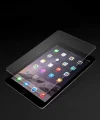 iPad 10.2 (8.Nesil) 5in1 Tablet Temperli Cam Ekran Koruyucu
