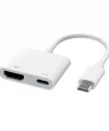 Type-C to Type-C PD100W + HDMI 4K@30Hz 2in1 Adaptör