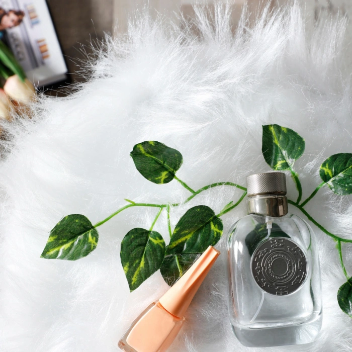 Sude Puf Yumuşak Oturumlu Koltuk Sandalye Dekoratif Bench Gümüş Ayaklı