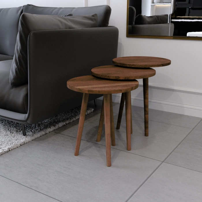 Tokyo Orta Sehpa Ve Zigon Sehpa 4lü Ahşap Ayaklı Salon Seti Sehpa - Ceviz