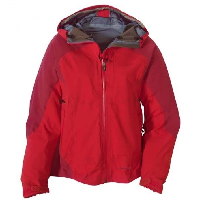 Patagonia Kadın Strech Element Mont