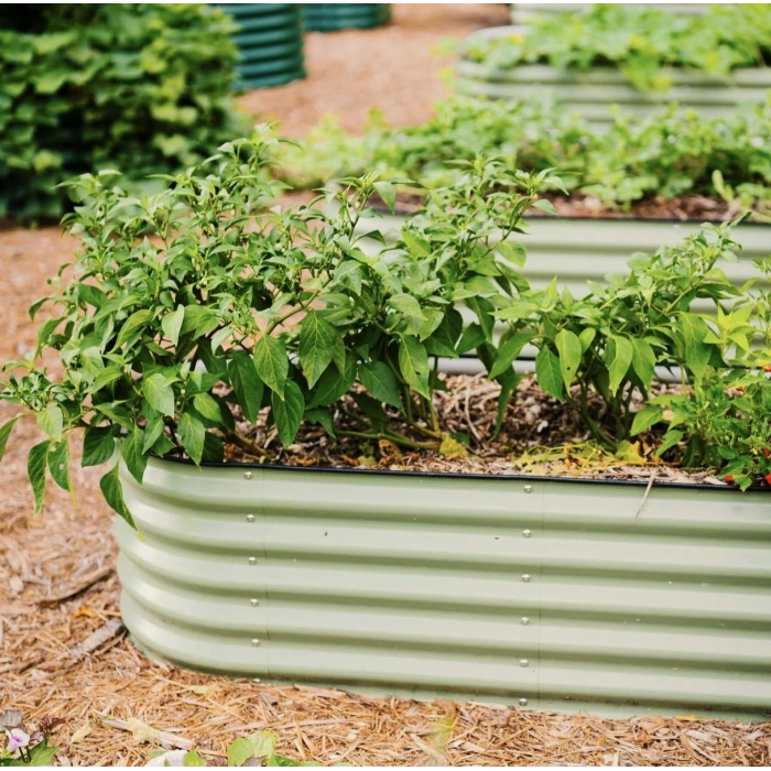 Dayanıklı Metal Yükseltilmiş Bahçe Yatağı – Sebze ve Çiçek Yetiştirmek İçin Modern, Uzun Ömürlü Bahçe Kutusu