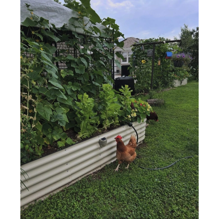 Dayanıklı Metal Yükseltilmiş Bahçe Yatağı – Sebze ve Çiçek Yetiştirmek İçin Modern, Uzun Ömürlü Bahçe Kutusu