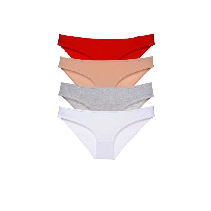 4 adet Süper Eko Set Likralı Kadın Slip Külot 531