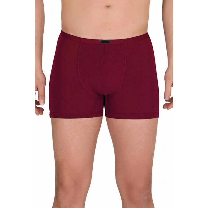 Erkek Modal Boxer Short Bordo 4488B
