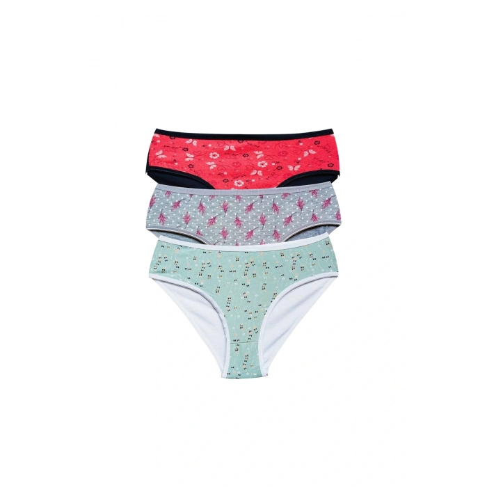 Pamuklu Geniş Kenarlı Likralı Desenli Bato Kadın Külot 3lü Paket Set1