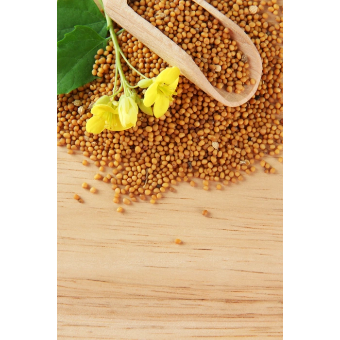 Sarı Hardal Tohumu Deluxe Seri Organik Lezzetli 300 Gr
