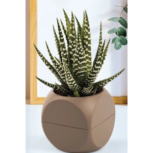 1 No Küp Saksı Royaleks-KRS-401