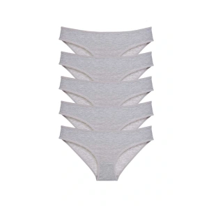 5 adet Süper Eko Set Likralı Kadın Slip Külot Gri