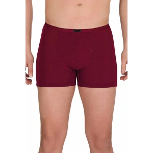 Erkek Modal Boxer Short Bordo 4488B