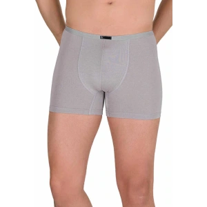 Erkek Modal Boxer Short Gri 4488B