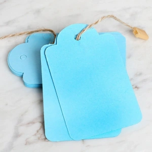 Loren 10lu Mavi Etiket ve Klipsli Etiket İpi