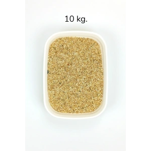 Muhabbet ve Tüm Egzotik Kuşlar İçin Doğal Taze Tane Sarı Darı - 10 kg