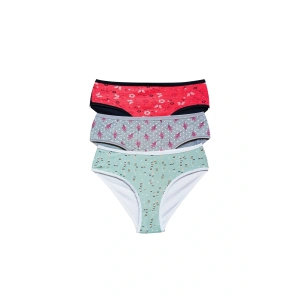 Pamuklu Geniş Kenarlı Likralı Desenli Bato Kadın Külot 3lü Paket Set1