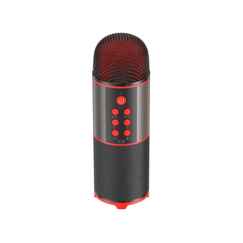 More TR Soaiy MC12 Karaoke Mikrofon