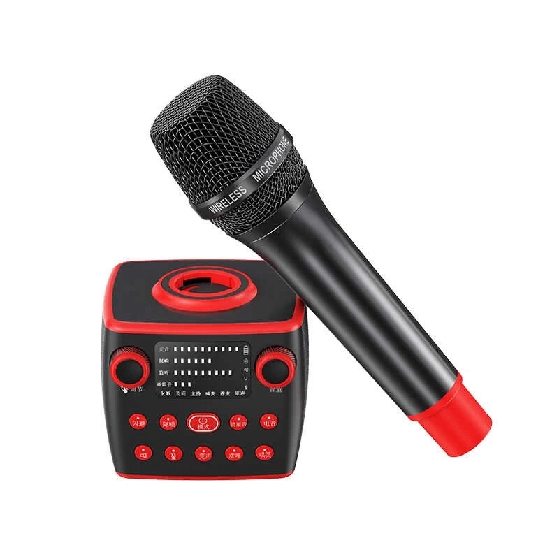 More TR Soaiy MC19 Karaoke Mikrofon
