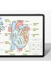 Apple iPad Pro 11 2024 Kağıt Hisli Benks Mat Paper-Like Ekran Koruyucu