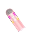 More TR Soaiy MC12 Karaoke Mikrofon