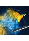 More TR Wiwu Huawei MateBook X 2020 Ekran Koruyucu