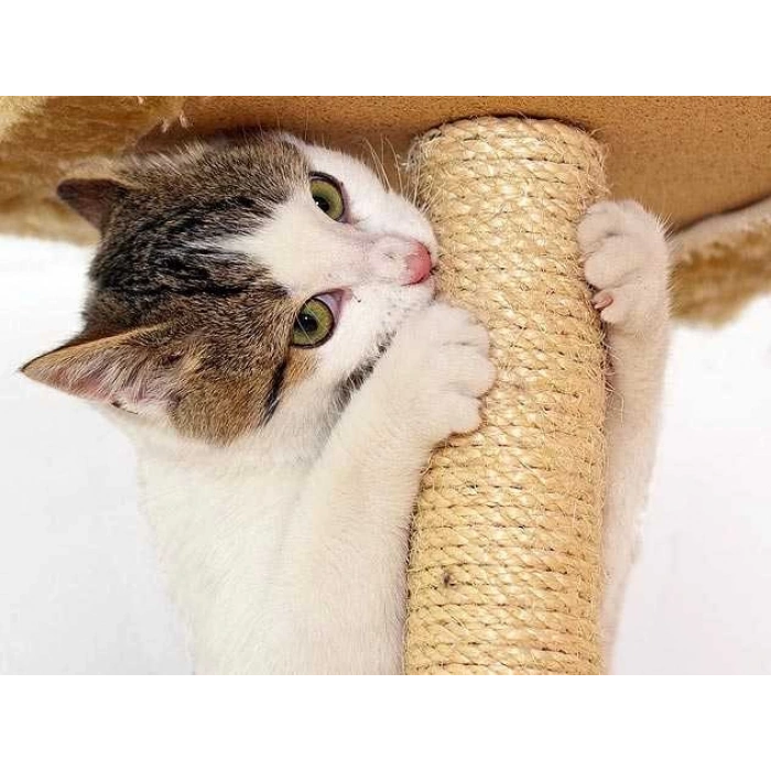 Jütburada Kedi Tırmalama İpi 6 mm 10 Metre Jüt Halat