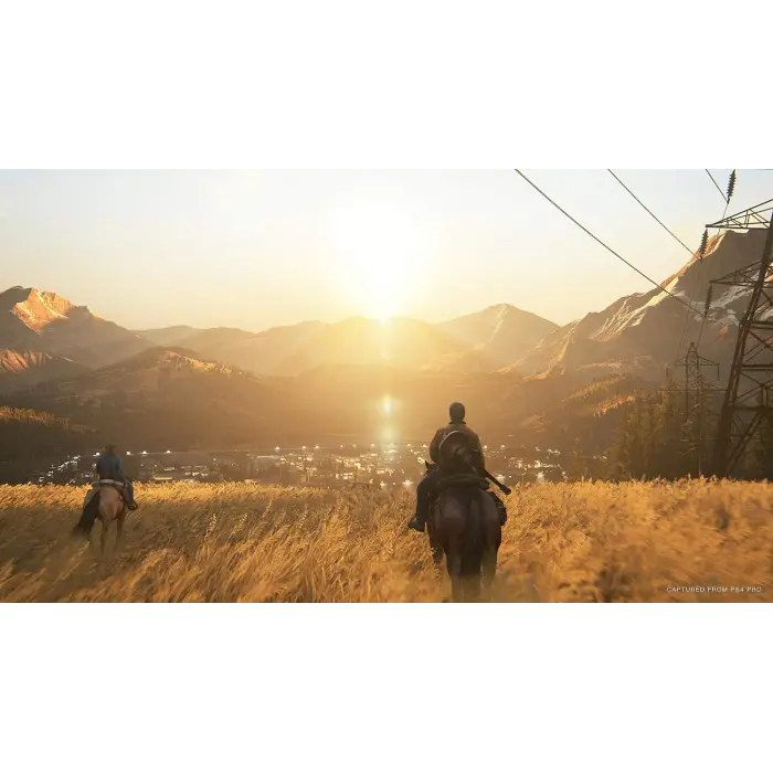 The Last of Us Part II PlayStation 4