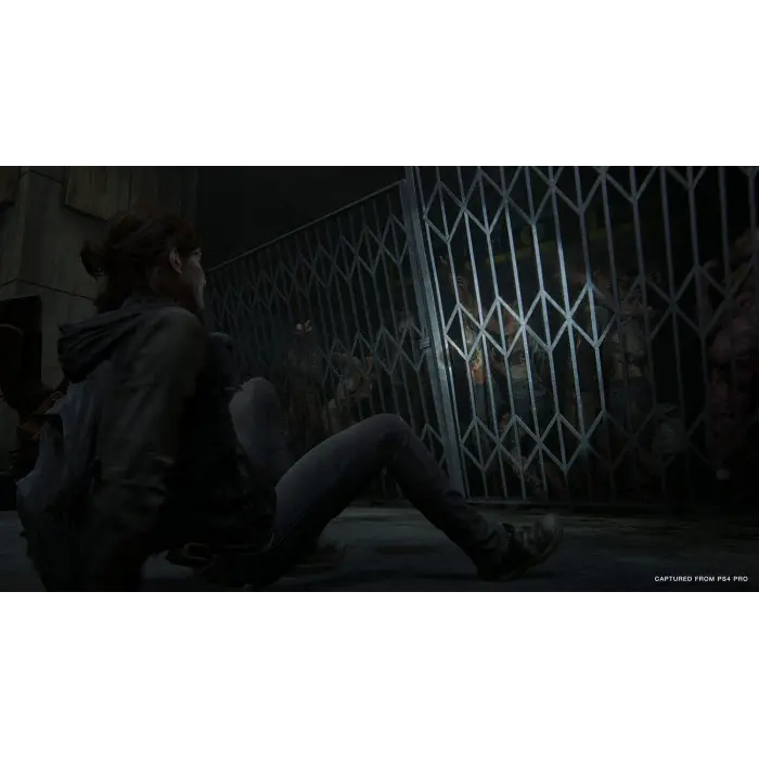 The Last of Us Part II PlayStation 4