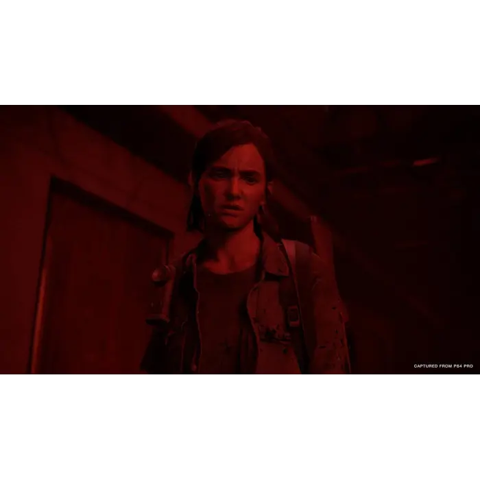 The Last of Us Part II PlayStation 4