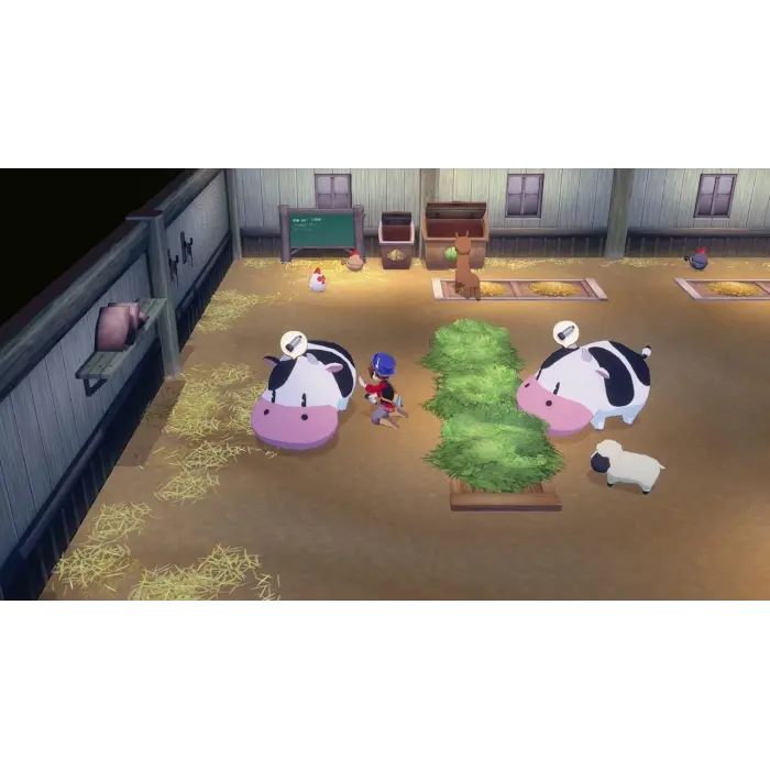Story of Seasons: Grand Bazaar Nintendo Switch 2