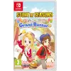 Story of Seasons: Grand Bazaar Nintendo Switch