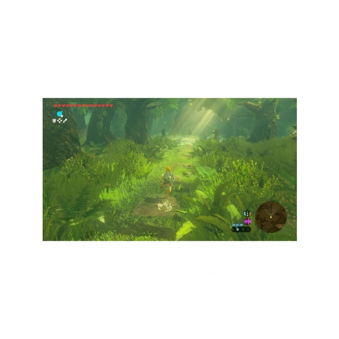 NSW2 LEGEND OF ZELDA BREATH OF WILD (R2) MCY