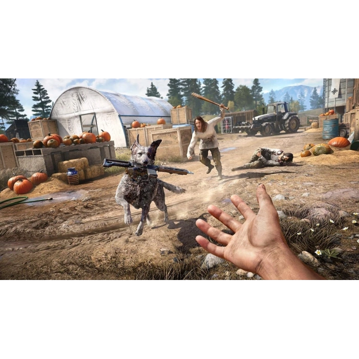 PS4 FARCRY 5 (R2) PEGI