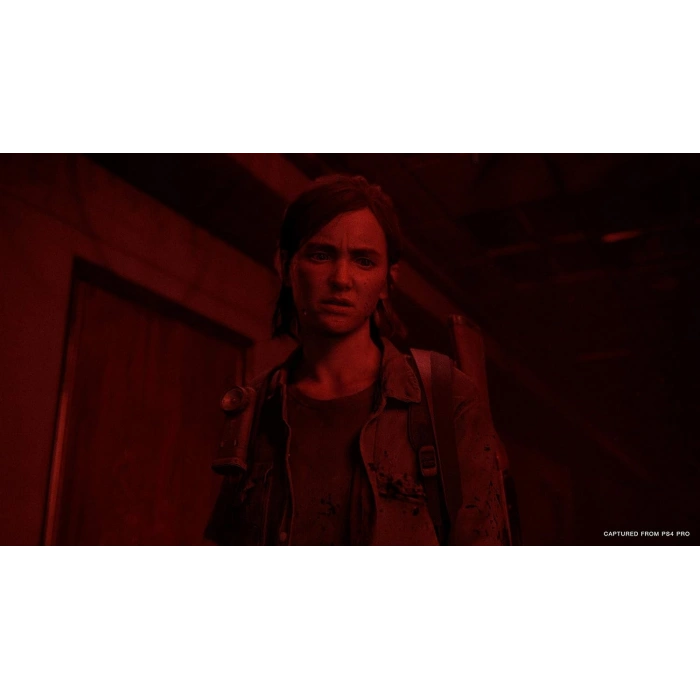 PS4 THE LAST OF US PART 2 (R2) PEGI STD
