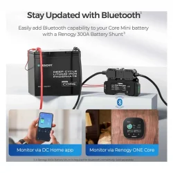 Renogy 12V 100Ah Core Mini Lityum Akü - Ultra Kompakt LiFePO4