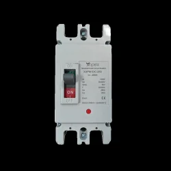 Apex DC Kartuş Sigorta Çift Kanal 2P/100A DC 500V