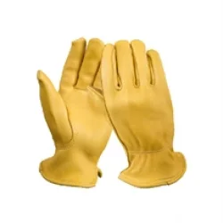 Campout Dana Derisi Eldiven