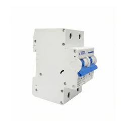 HEGEL 100A DC DEVRE KESİCİ
