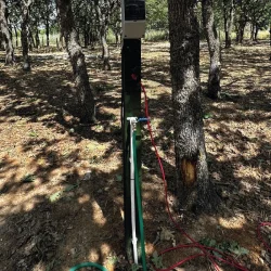 KARAVAN YERİ PARSEL KİRALAMA 1 YIL