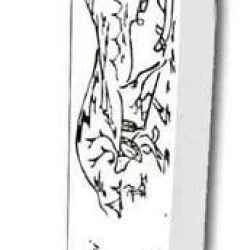 Marttiini 16 Cm Lapon Bıçağı