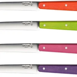 Opinel 4 Lu Renkli Sofra Bıçak Seti (001532)
