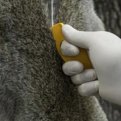 Smiths Disposable Gut Hooks Kanca