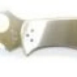 Spyderco Çaki C10ps